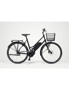 Skeppshult Nova Sport Dam, Elassisterad