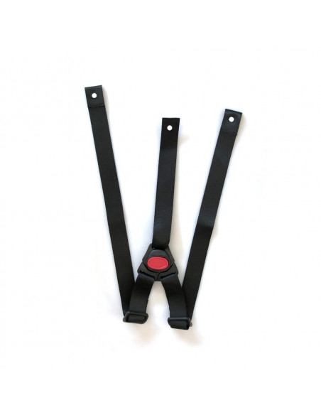 3 punktsbälte cargobike