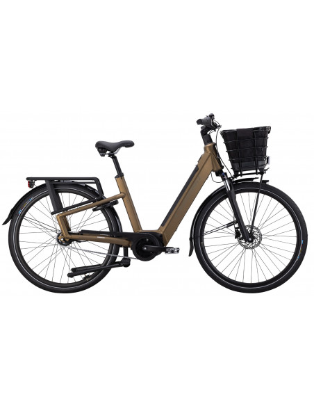 Crescent Elston 20B, Elassisterad City 915 - 2026