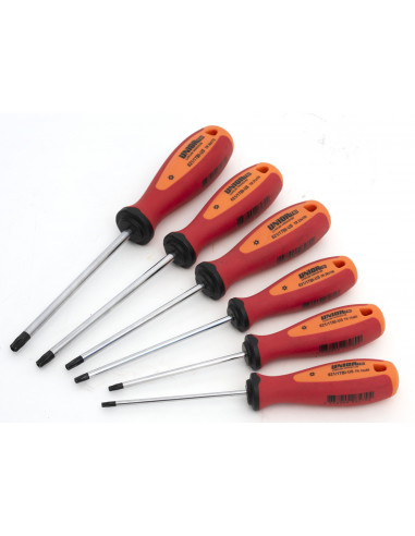 Set med skruvmejslar tbi med tx profil och hål unior