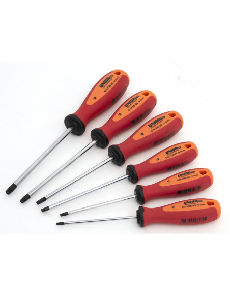 Set med skruvmejslar tbi med tx profil och hål unior