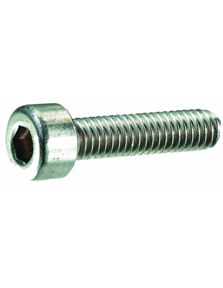 Skruv M5 x 20 mm insex