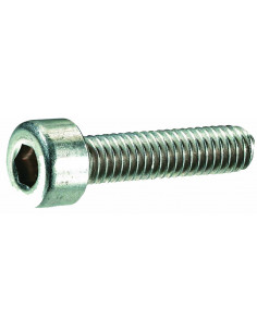 Skruv M8 x 50 mm insex