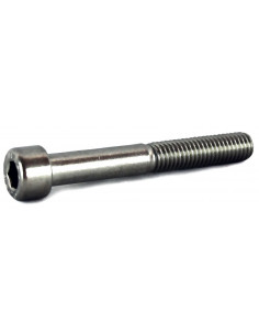 Skruv M5 x 60 mm insex