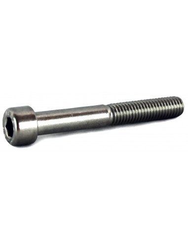 Skruv M5 x 60 mm insex