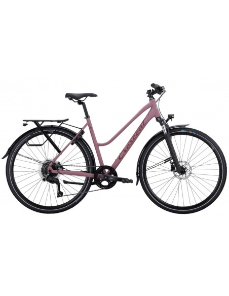 Crescent Åkulla, Sport 779 - 2026