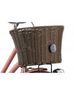 Cykelkorg fram rotting brun oval spectra