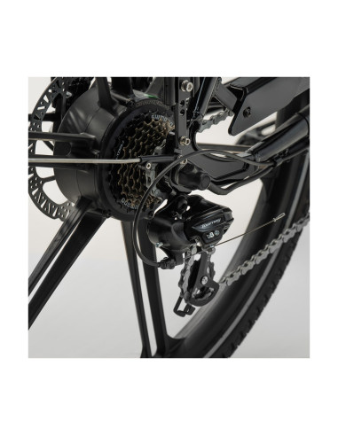 Cargobike flex dog lådcykel