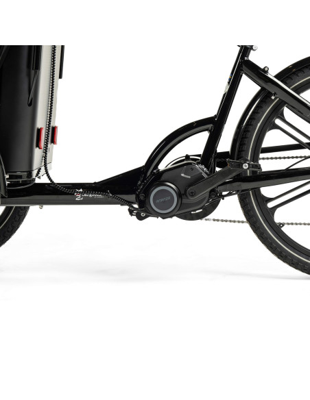 Cargobike delight kindergarden lådcykel