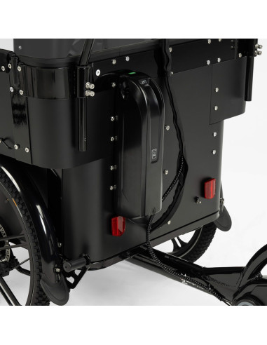 Cargobike delight kindergarden lådcykel