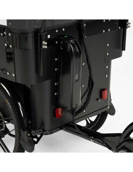 Cargobike delight kindergarden lådcykel