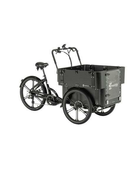 Cargobike delight kindergarden lådcykel