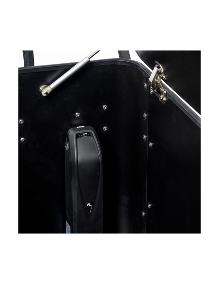 Cargobike delight box lådcykel