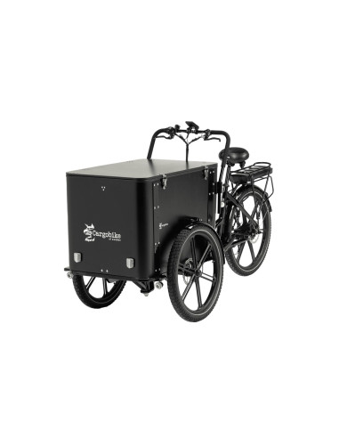 Cargobike flex box lådcykel