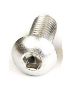 Skruv M8 x 20 mm rostfri insex kullrig