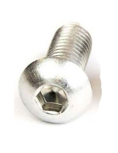 Skruv M8 x 20 mm rostfri insex kullrig