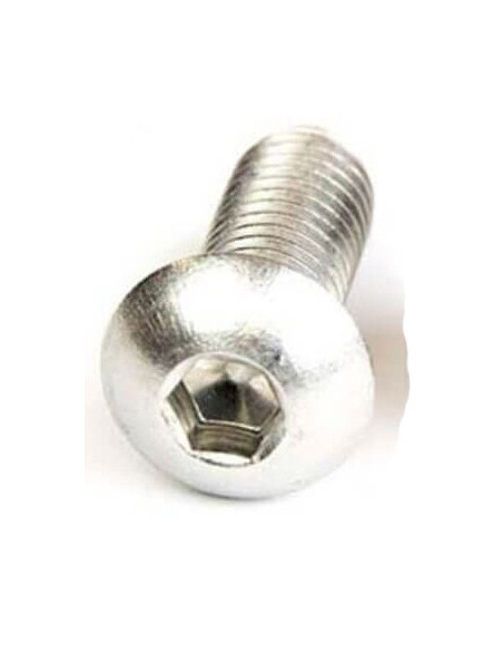 Skruv M8 x 20 mm rostfri insex kullrig