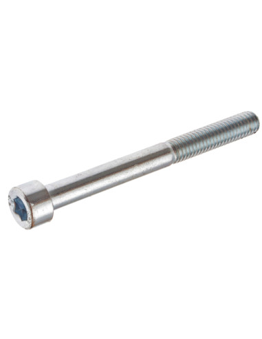 Skruv M6 X 65 mm insex
