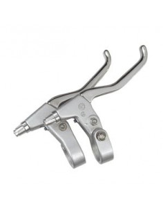 Bromshandtag par spectra