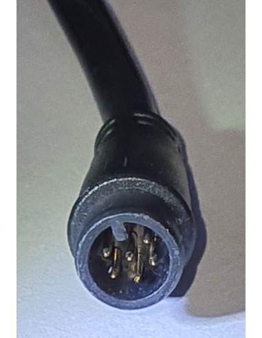 Display lcd a e-going 2020-