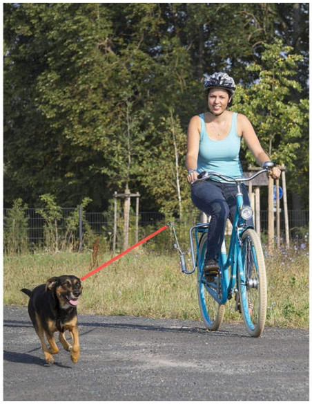 Hundrastare för cykel