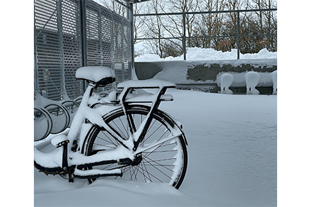 Så vinterförvarar du ditt elcykelbatteri på bästa sätt – komplett guide