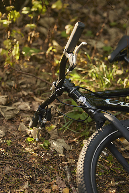 Får man cykla efter alkoholförtäring?
